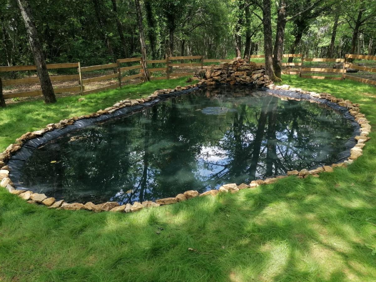 7-Gite-7 Personnes Au Coeur De La Nature /Piscine Saint-Aubin-de-Nabirat Екстериор снимка