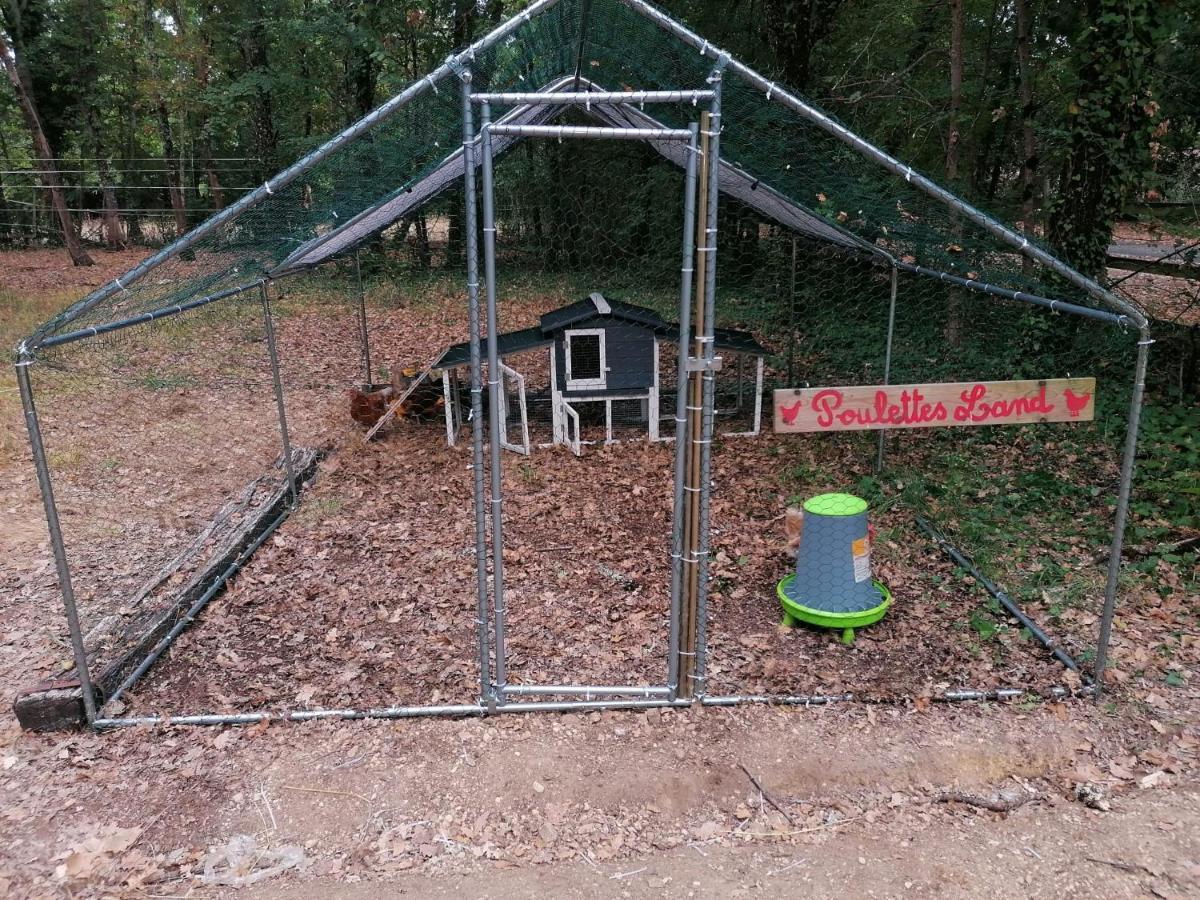 7-Gite-7 Personnes Au Coeur De La Nature /Piscine Saint-Aubin-de-Nabirat Екстериор снимка